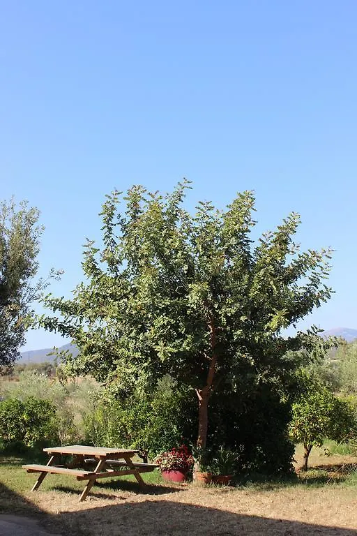 Farm stay Agriturismo L' Agrumeto Villa Girasole
